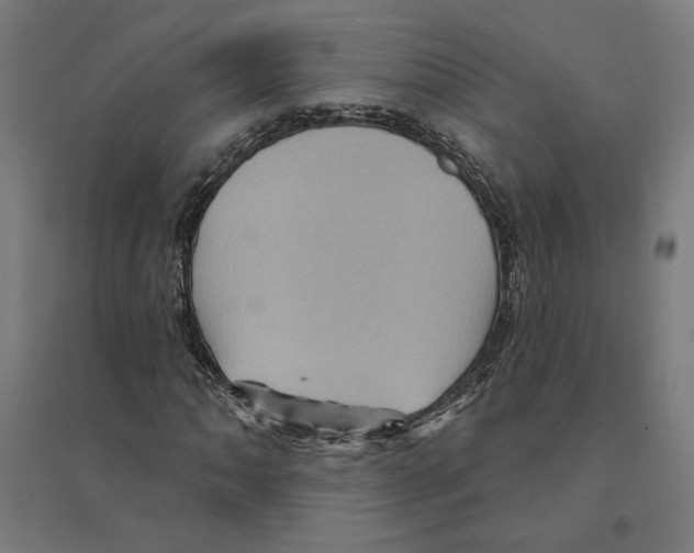 X0000094421062200712061046