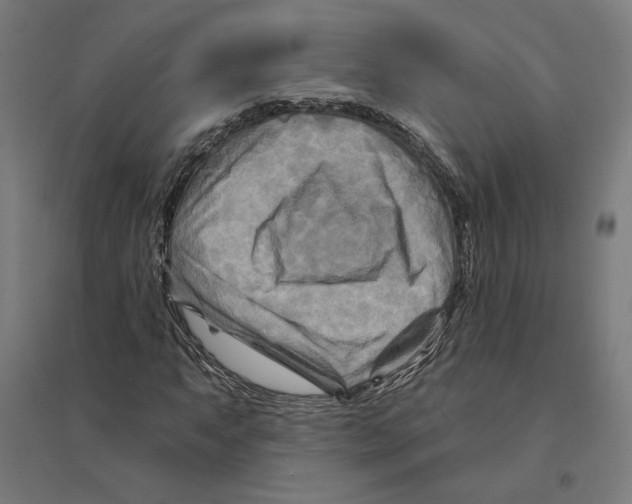 X0000094421063200712061046