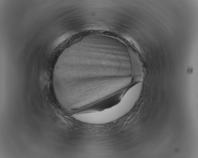 X0000094421064200712061046