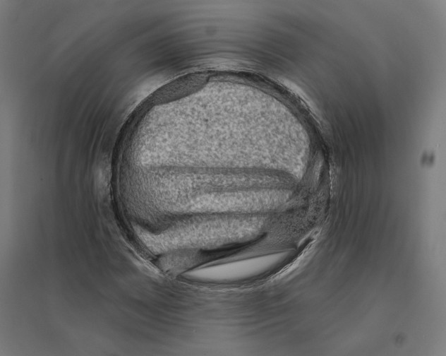 X0000094421065200712061046