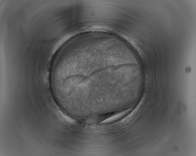 X0000094421066200712061046