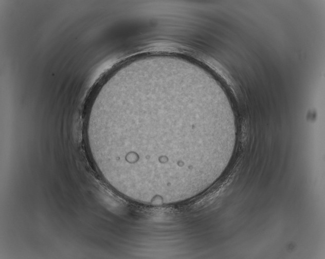 X0000094421067200712061046