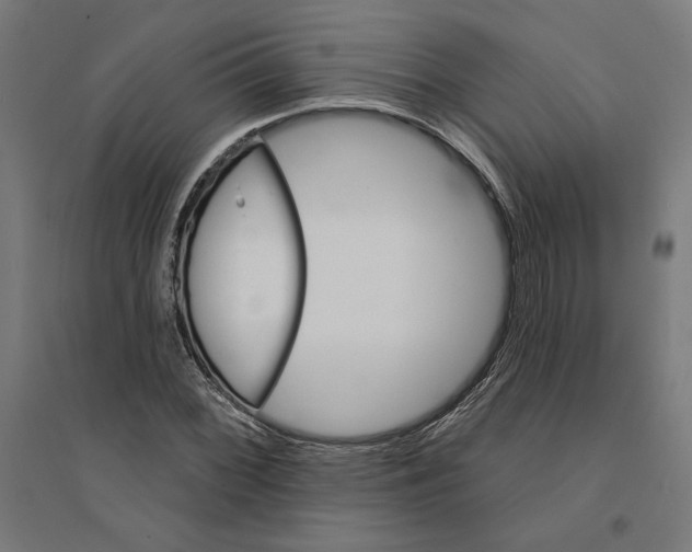 X0000094421068200712061046