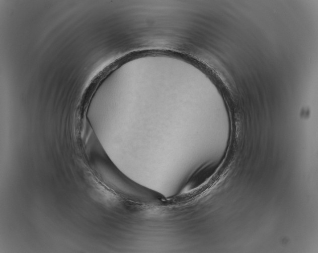 X0000094421069200712061046