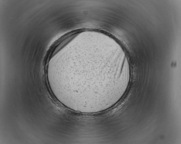 X0000094421070200712061046