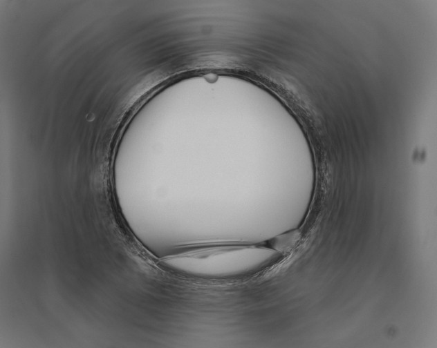 X0000094421073200712061046