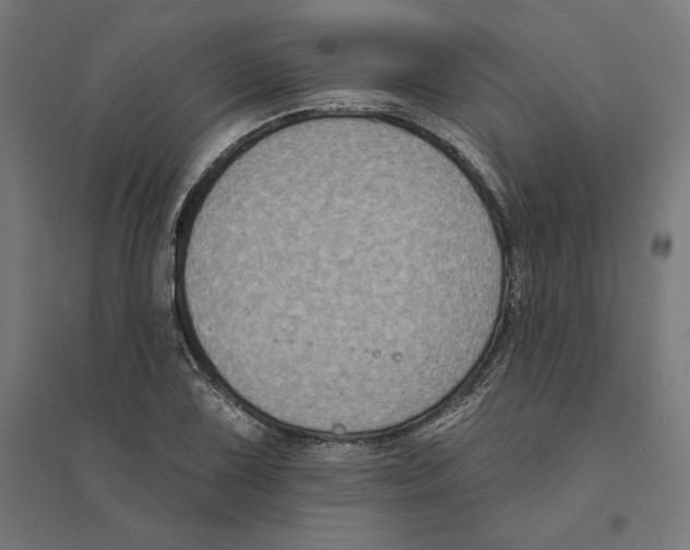 X0000094421075200712061046