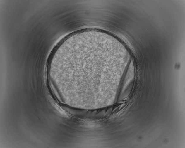 X0000094421076200712061046