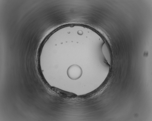 X0000094421077200712061046