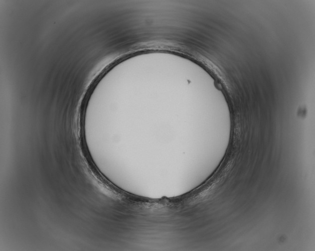 X0000094421082200712061046