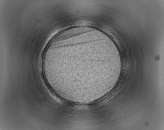 X0000094421083200712061046