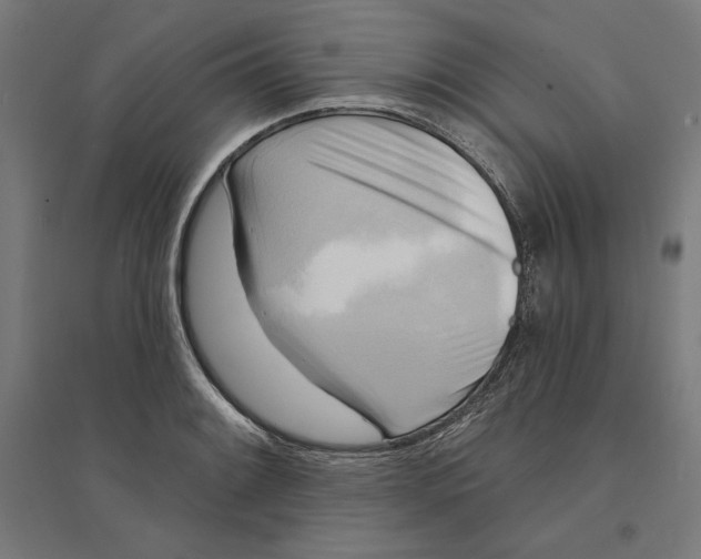 X0000094421084200712061046