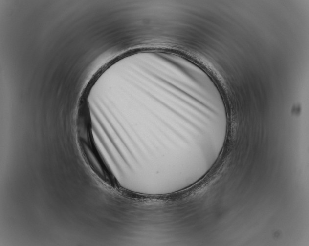 X0000094421085200712061046