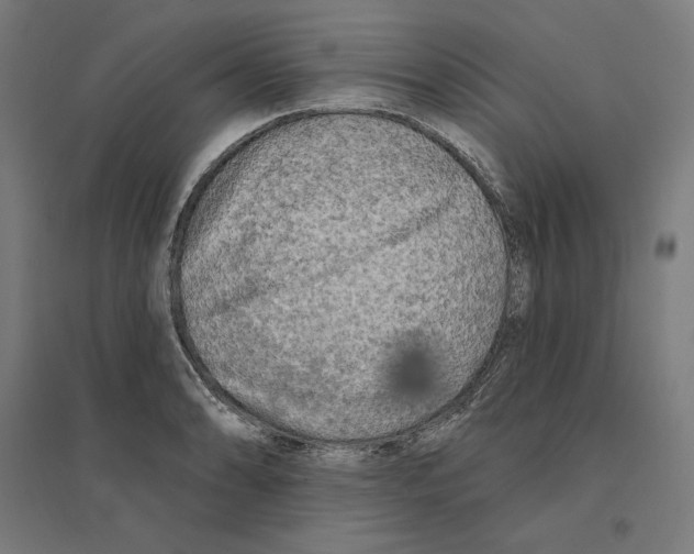 X0000094421086200712061046