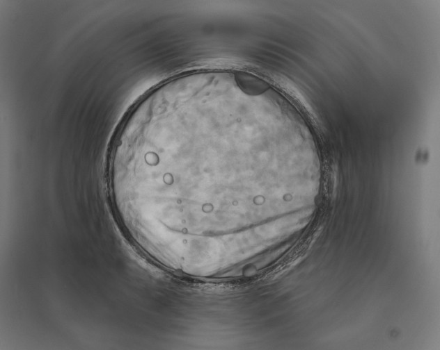 X0000094421087200712061046