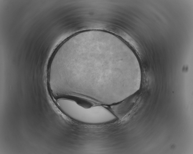 X0000094421088200712061045