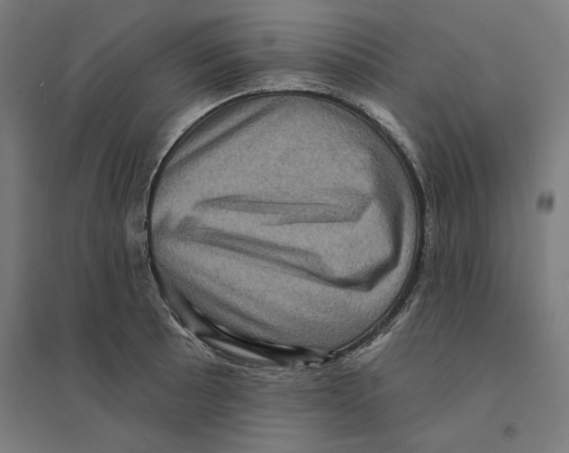 X0000094421089200712061045