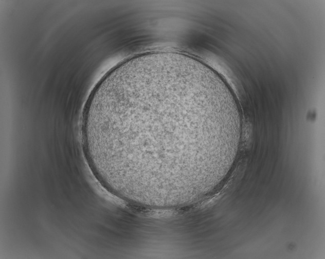 X0000094421090200712061045