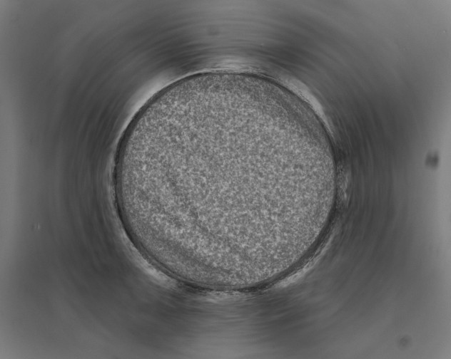 X0000094421091200712061045