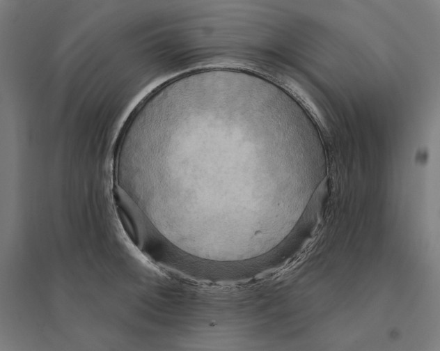 X0000094421092200712061045