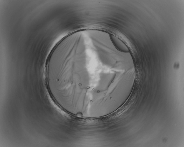 X0000094421095200712061045