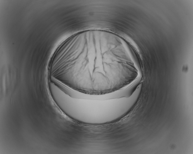 X0000094421096200712061045