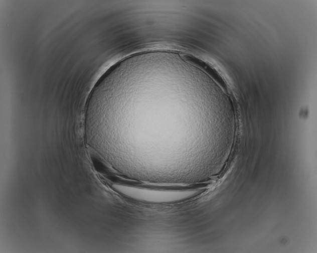 X0000094421097200712061045