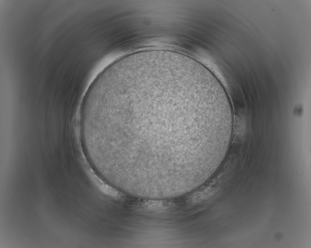 X0000094421098200712061045