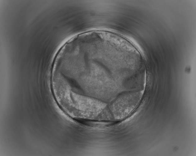 X0000094421100200712061045