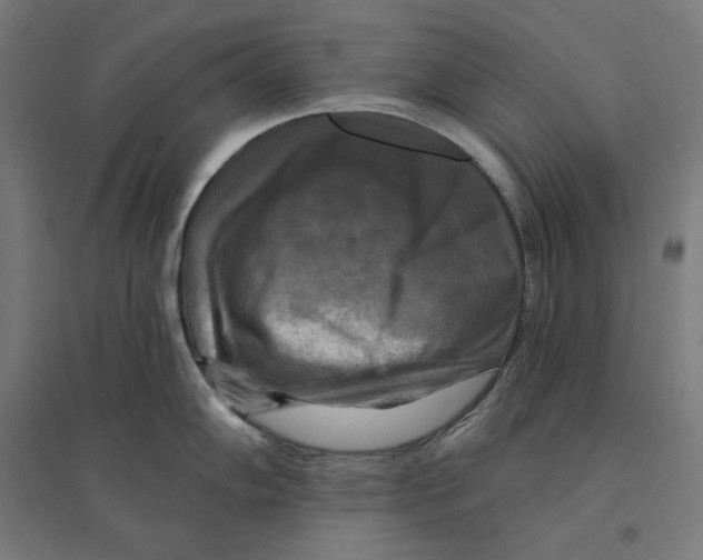 X0000094421102200712061045