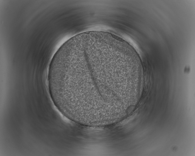 X0000094421103200712061045