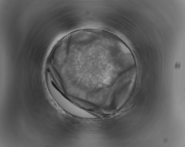 X0000094421104200712061045