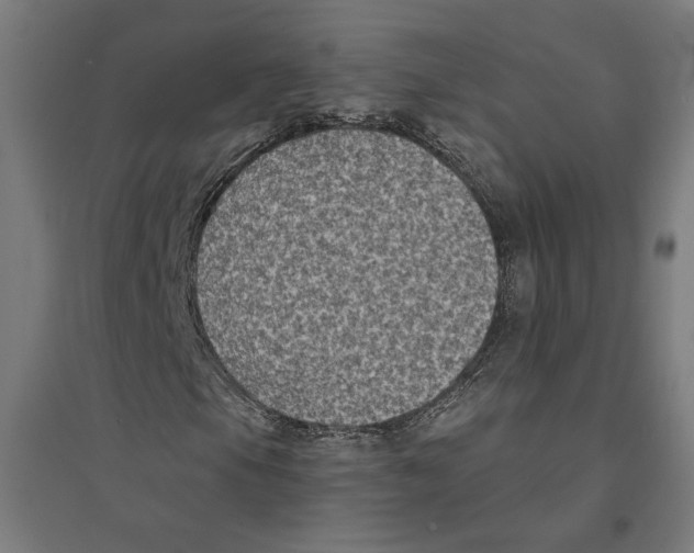 X0000094421105200712061044