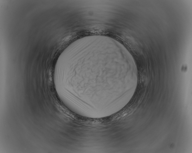 X0000094421106200712061044