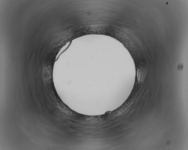 X0000094421107200712061044