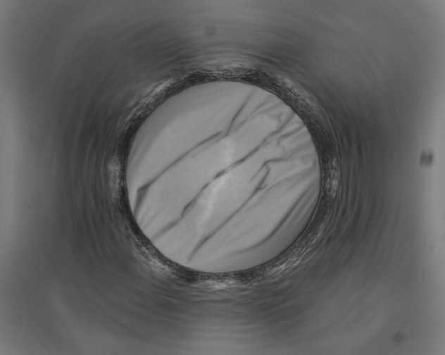 X0000094421108200712061044