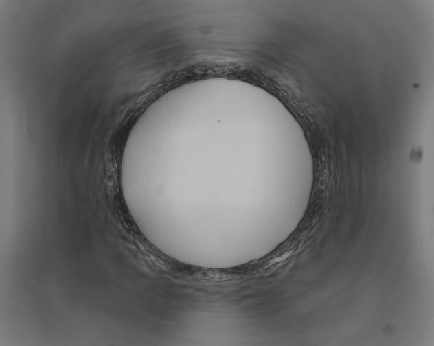 X0000094421109200712061044