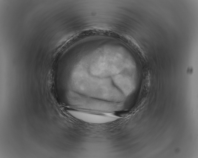 X0000094421110200712061045