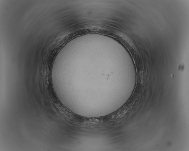 X0000094421111200712061045