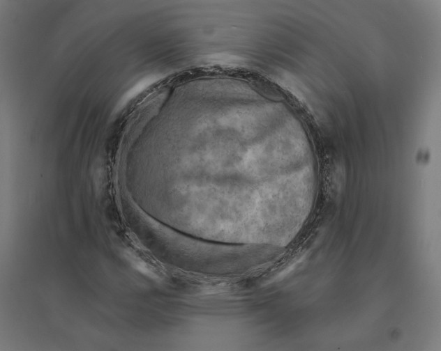 X0000094421112200712061045