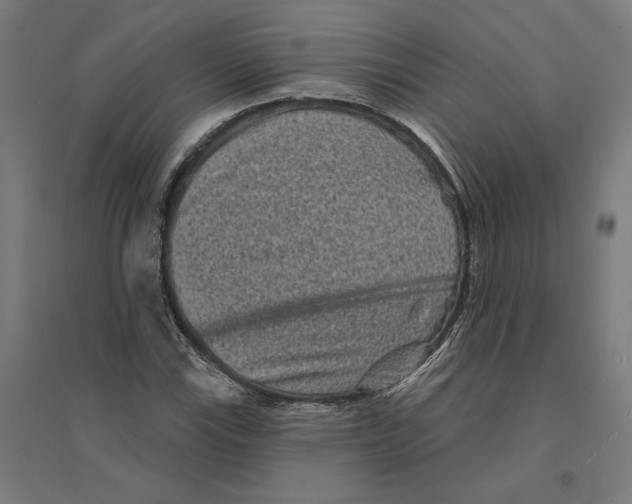 X0000094421115200712061045