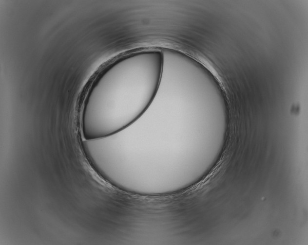 X0000094421116200712061045