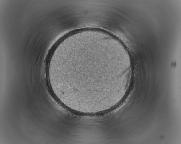 X0000094421118200712061045