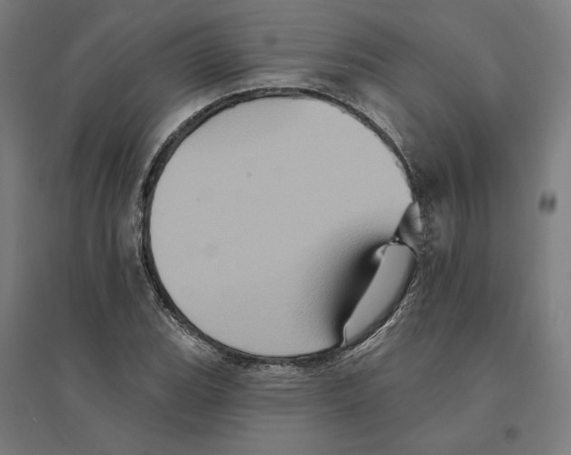 X0000094421119200712061045