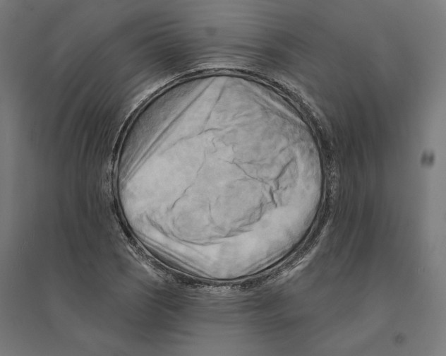 X0000094421121200712061045