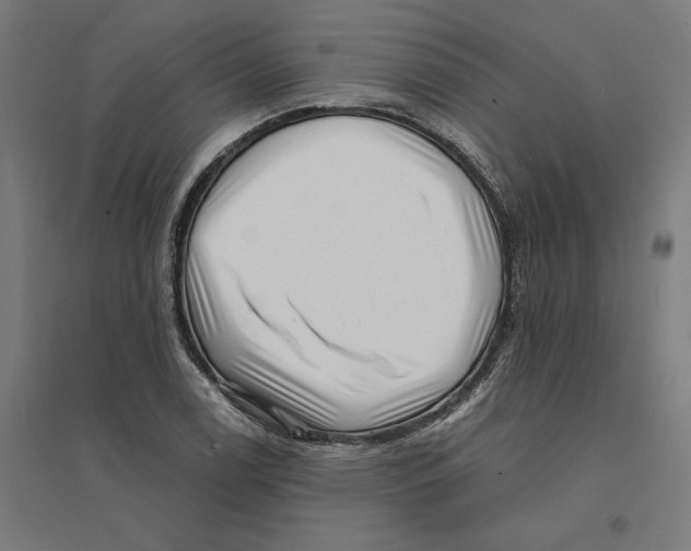 X0000094421122200712061045