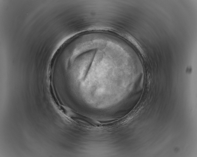 X0000094421124200712061045