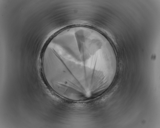 X0000094421125200712061045