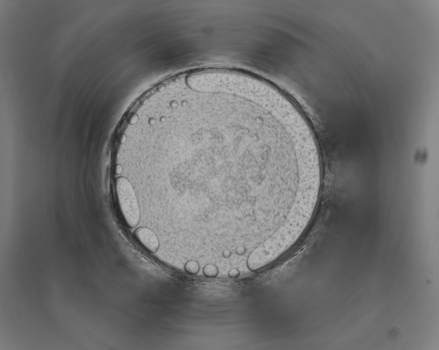 X0000094421126200712061045