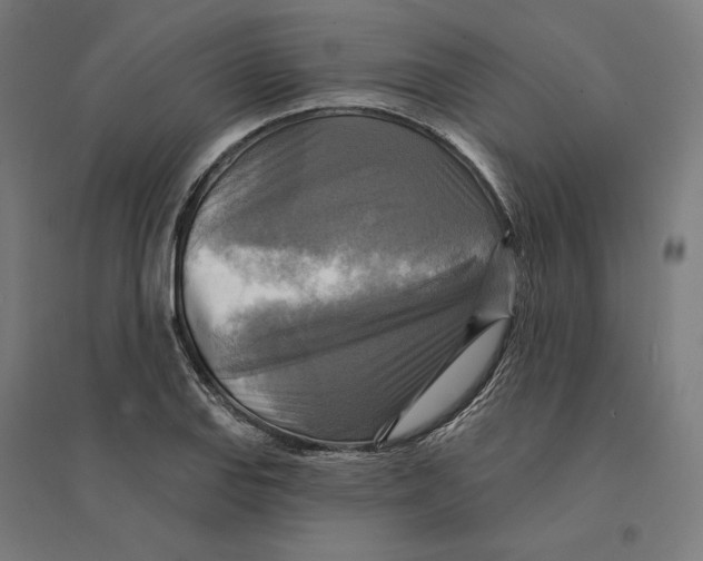 X0000094421127200712061045